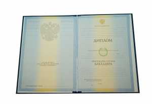 Диплом о высшем образовании с 2009 по 2011 годы образец 2